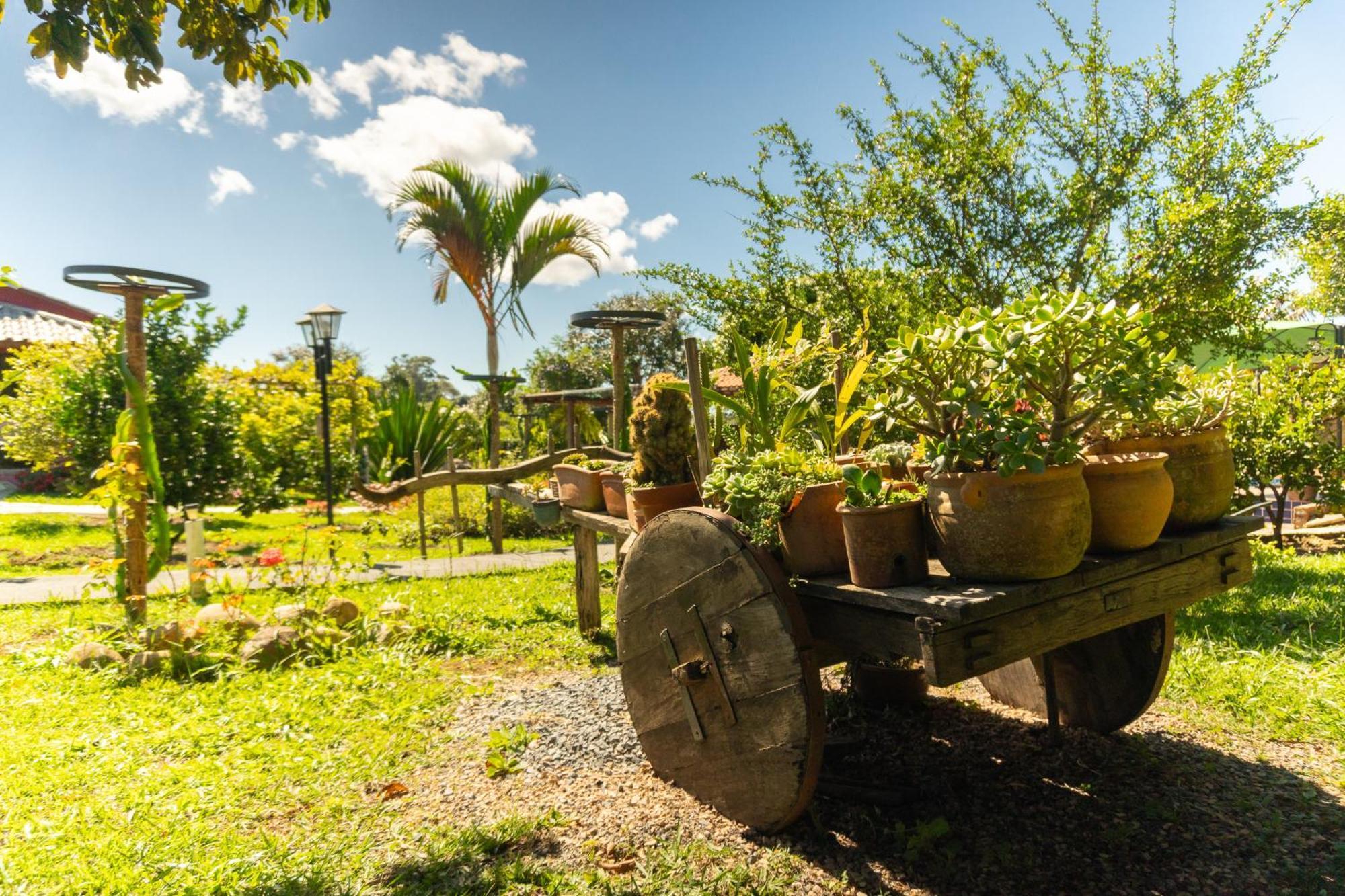 Vila da Mata Chalés Alto Paraíso de Goiás Exterior foto